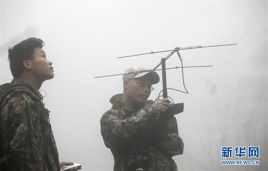 (新华全媒头条·图文互动)(14)“嫁”给大熊猫的人