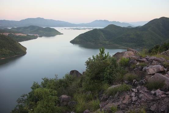 美成在久&mdash;&mdash;王安石家乡古树古宅的前世今生