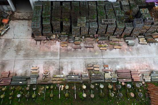 美成在久&mdash;&mdash;王安石家乡古树古宅的前世今生