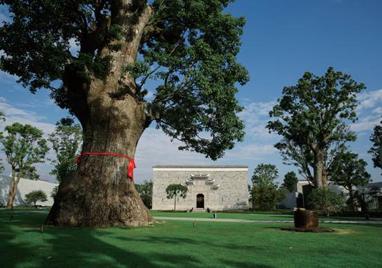 美成在久&mdash;&mdash;王安石家乡古树古宅的前世今生