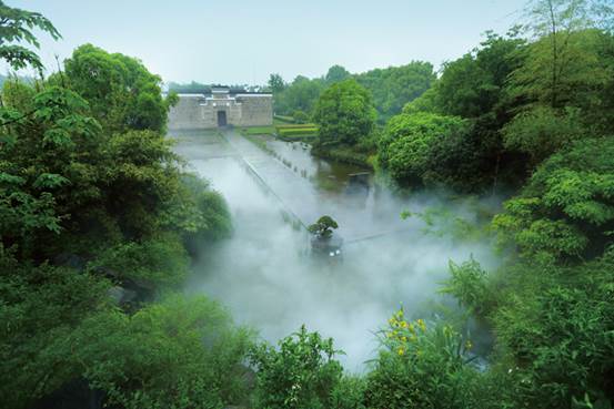 美成在久&mdash;&mdash;王安石家乡古树古宅的前世今生