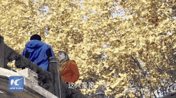 就在凌晨两点,   英国《自然》杂志悄然上线,   一篇科学论文震惊