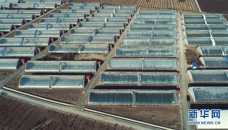 #（经济）（5）甘肃临夏：科技园区引领 促进农业产业升级