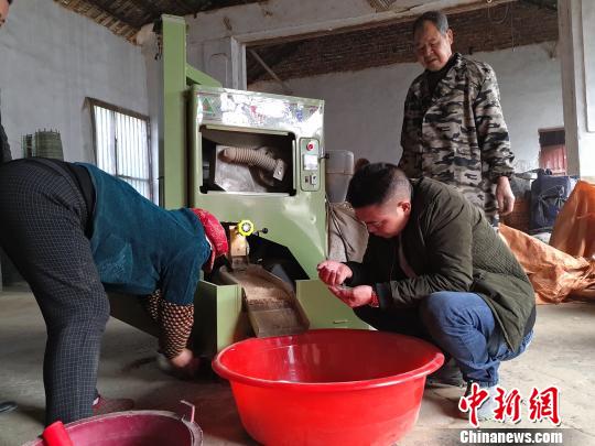 80后美术教师弃笔从农做&ldquo;大地画家&rdquo;描绘美丽乡村