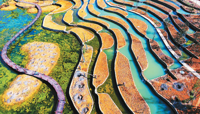 乡村振兴战略:三农发展新蓝图