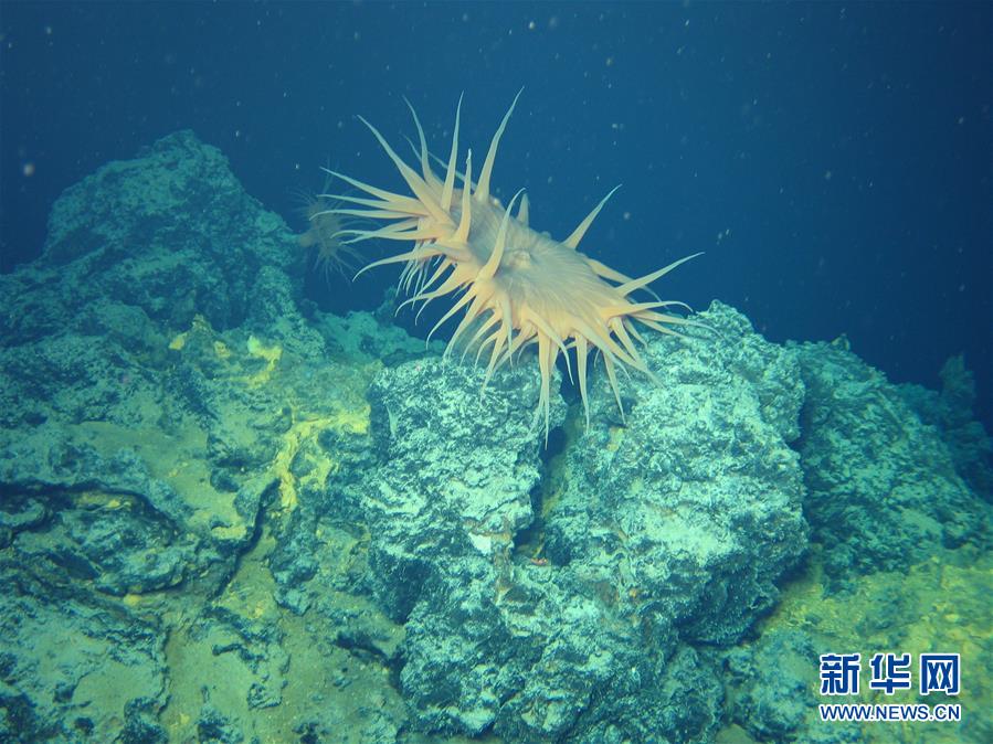 （新華全媒頭條&middot;圖文互動）（4）&ldquo;神奇&rdquo;&middot;&ldquo;神器&rdquo;&middot;&ldquo;神匠&rdquo;──揭秘中國對大洋深處的探尋