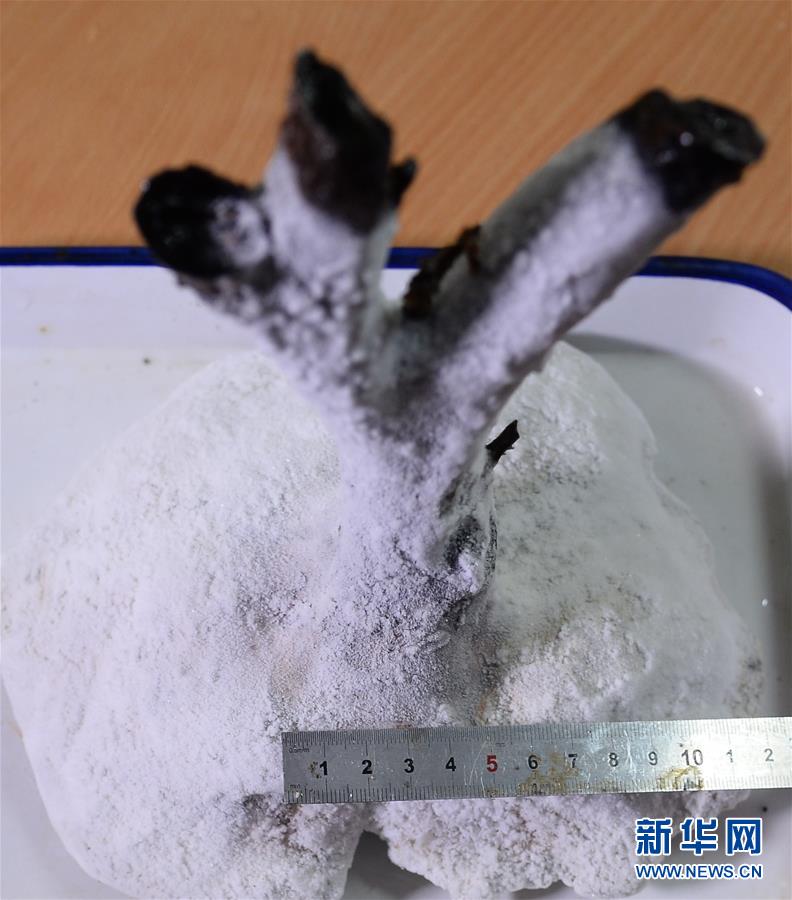 （新華全媒頭條&middot;圖文互動）（6）&ldquo;神奇&rdquo;&middot;&ldquo;神器&rdquo;&middot;&ldquo;神匠&rdquo;──揭秘中國對大洋深處的探尋