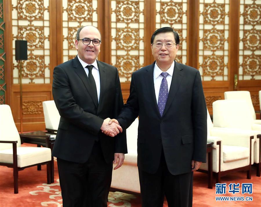 12月20日，全国人大常委会委员长张德江在北京人民大会堂会见摩洛哥参议长本希马。新华社记者刘卫兵摄