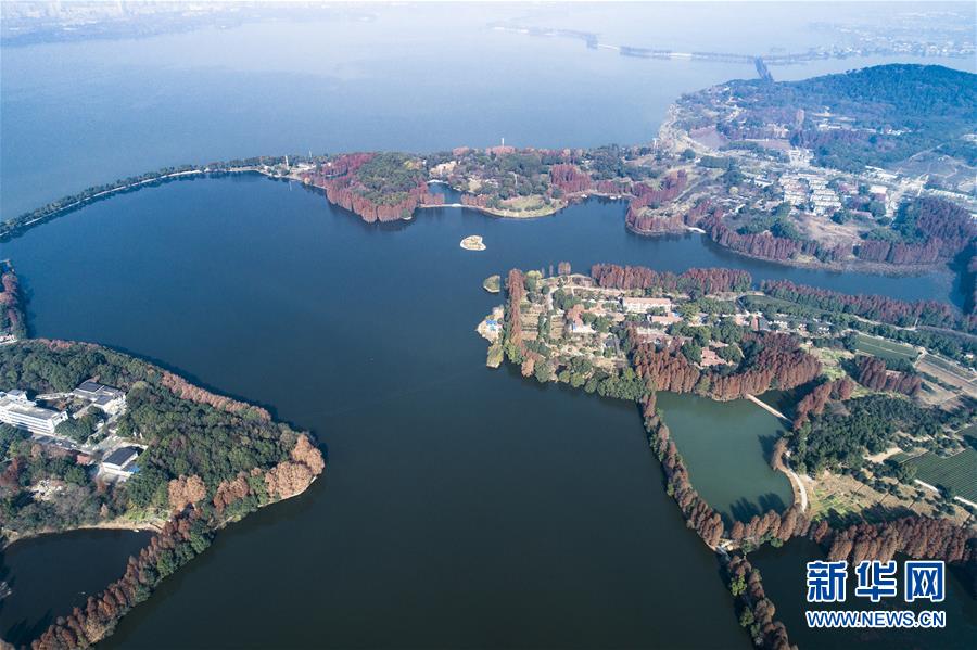 （环境）（3）武汉东湖绿道二期即将面向市民开放