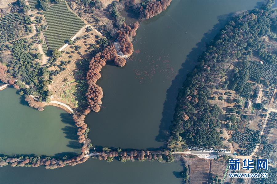 （环境）（5）武汉东湖绿道二期即将面向市民开放