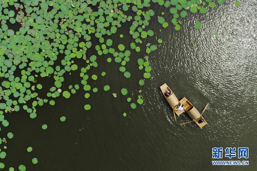 #（年终报道）（1）美了，绿了，人来了