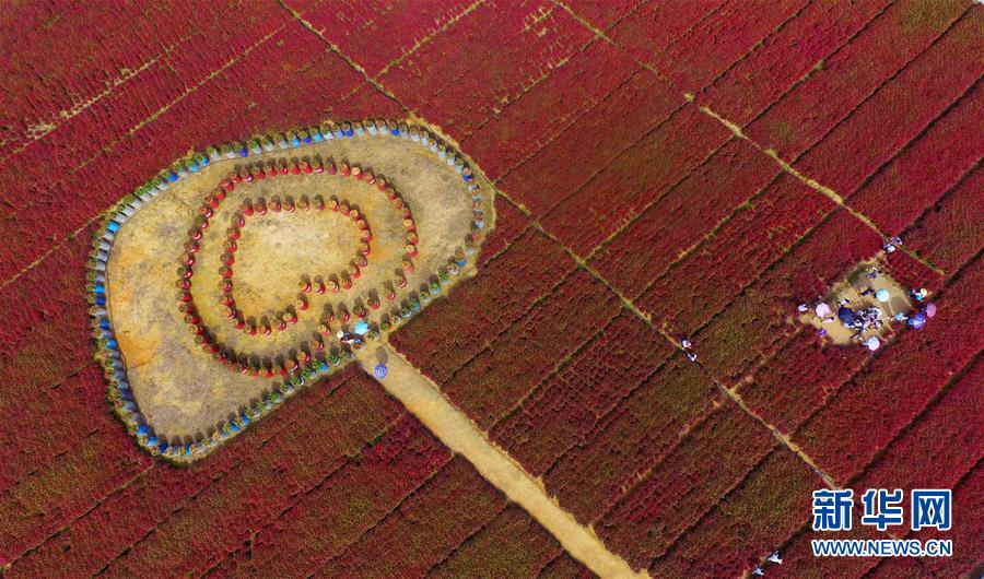 #（年终报道）（8）美了，绿了，人来了