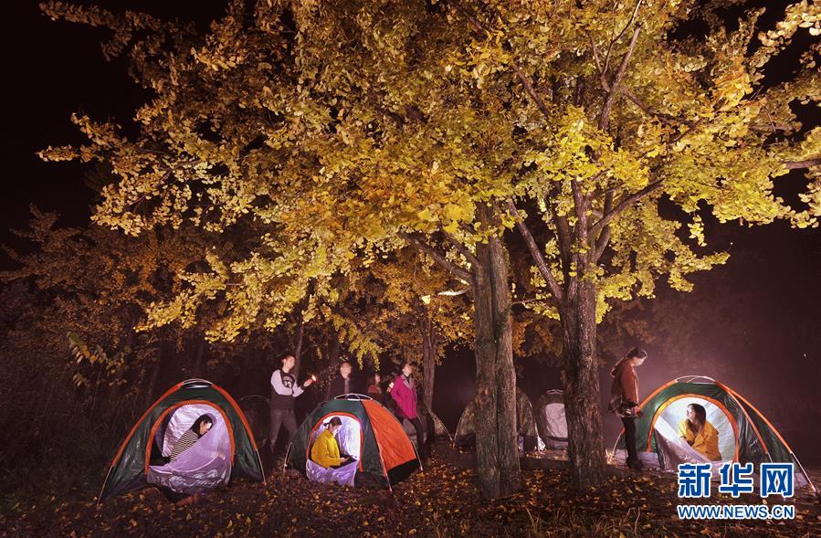 #（年终报道）（11）美了，绿了，人来了