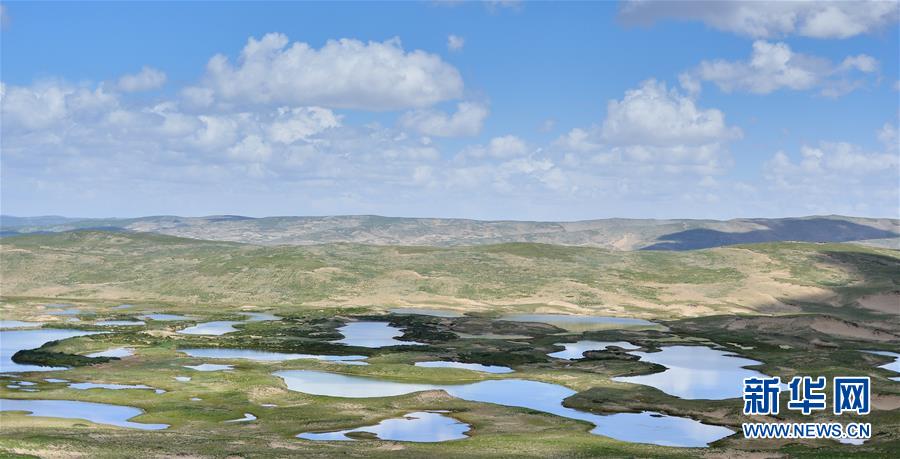 （图文互动）（1）三江源地区见证青藏高原生态建设奇迹