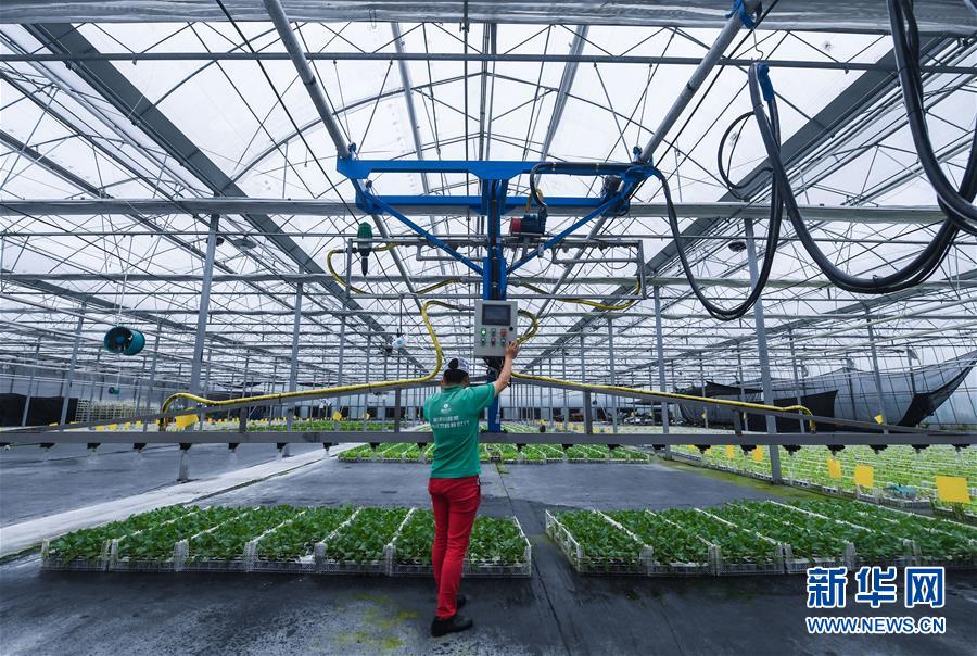 (新华全媒头条·中央农村工作会议)(1)谱写新时代乡村全面振兴新篇章——2017年中央农村工作会议传递六大新信号