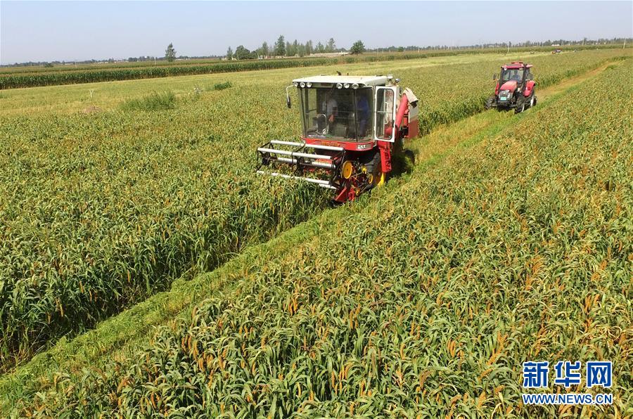 （新华全媒头条&middot;中央农村工作会议）（3）谱写新时代乡村全面振兴新篇章&mdash;&mdash;2017年中央农村工作会议传递六大新信号