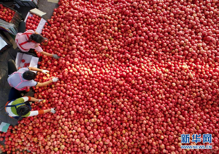 （新华全媒头条&middot;中央农村工作会议）（4）谱写新时代乡村全面振兴新篇章&mdash;&mdash;2017年中央农村工作会议传递六大新信号