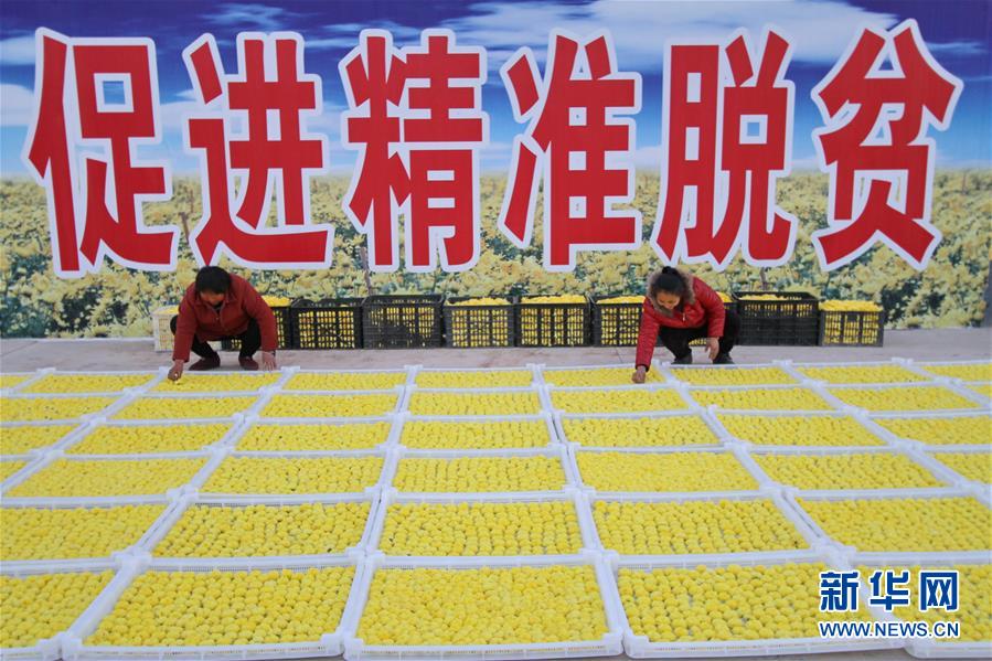 （新华全媒头条&middot;中央农村工作会议）（7）谱写新时代乡村全面振兴新篇章&mdash;&mdash;2017年中央农村工作会议传递六大新信号