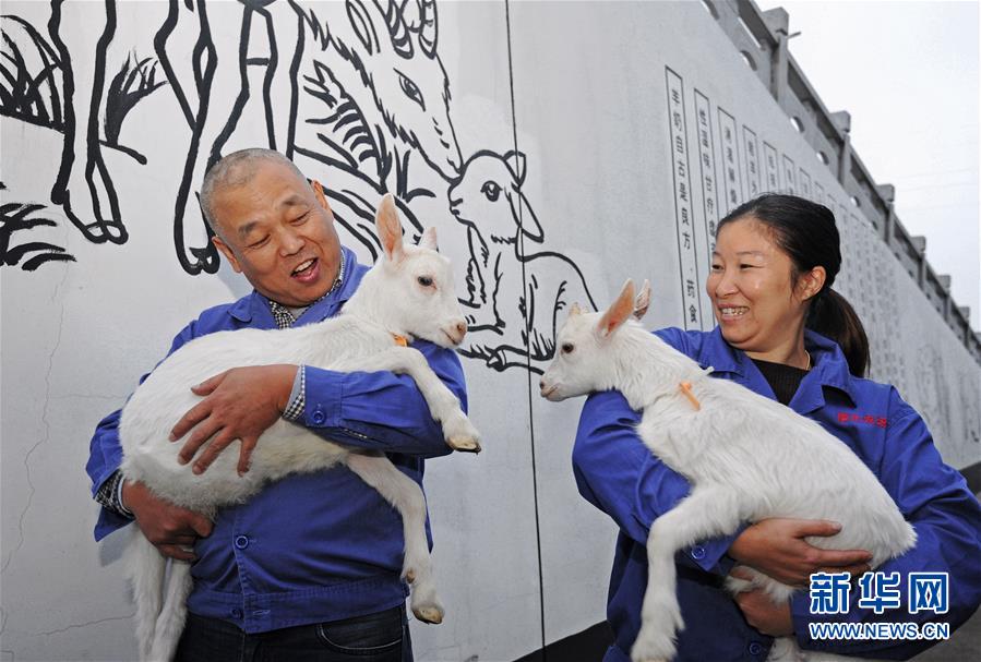 （新华全媒头条&middot;中央农村工作会议）（8）谱写新时代乡村全面振兴新篇章&mdash;&mdash;2017年中央农村工作会议传递六大新信号