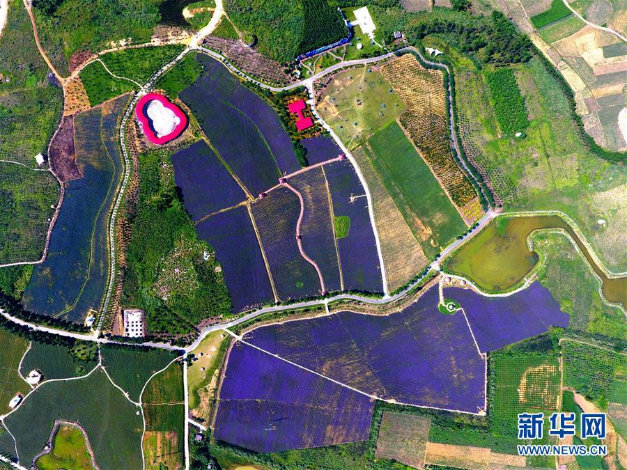 （新华全媒头条&middot;中央农村工作会议）（9）谱写新时代乡村全面振兴新篇章&mdash;&mdash;2017年中央农村工作会议传递六大新信号