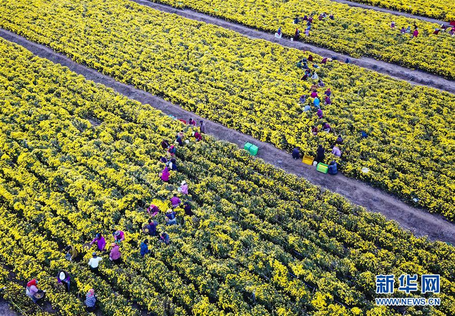 （新华全媒头条&middot;中央农村工作会议）（10）谱写新时代乡村全面振兴新篇章&mdash;&mdash;2017年中央农村工作会议传递六大新信号