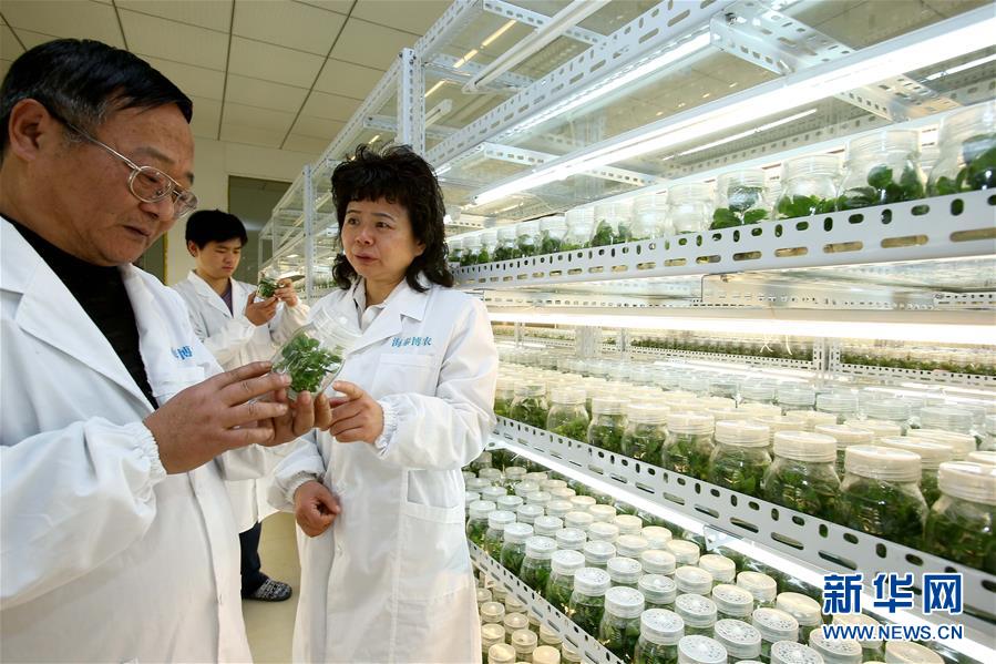 （两会&middot;履职影像记）（3）杨莉：用心履职