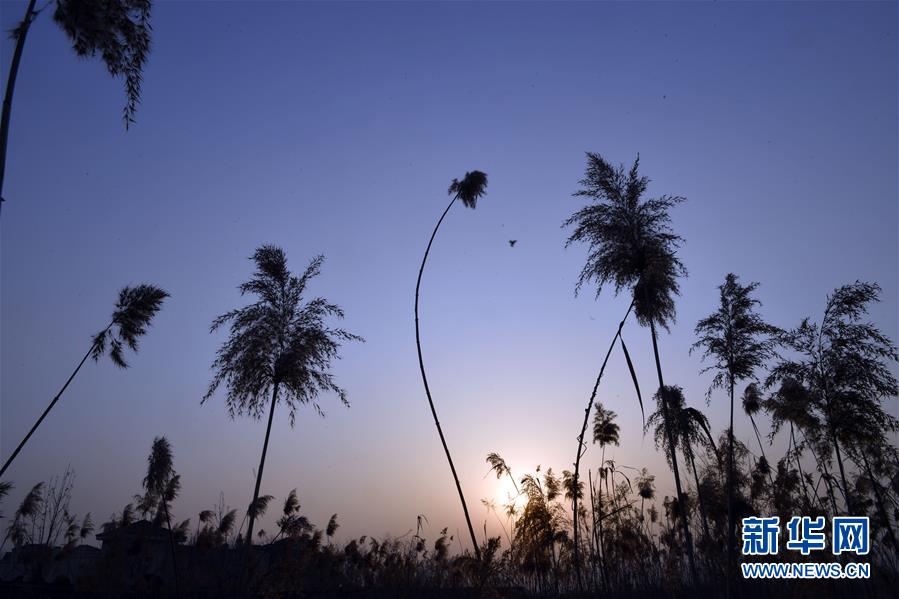 （社会）（5）2018年的第一缕阳光