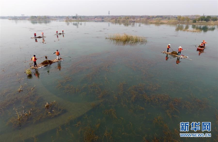 （新时代新气象新作为）（5）同饮一湖水：太湖流域河长制建设综述