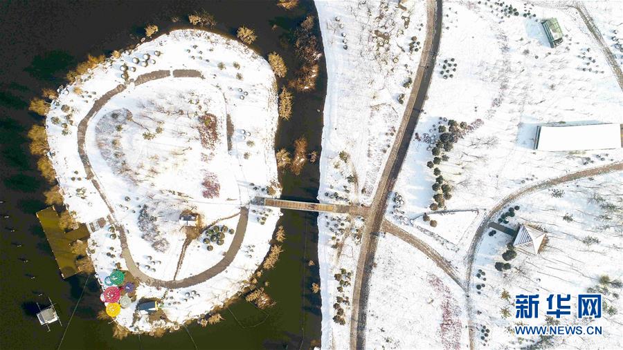 #（社会）（4）雪落人间