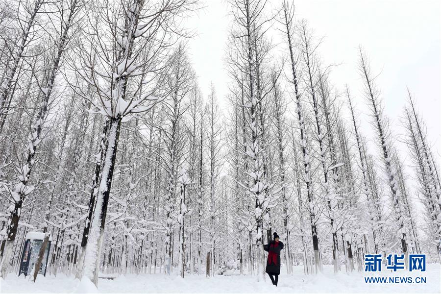 #（社会）（5）雪落人间