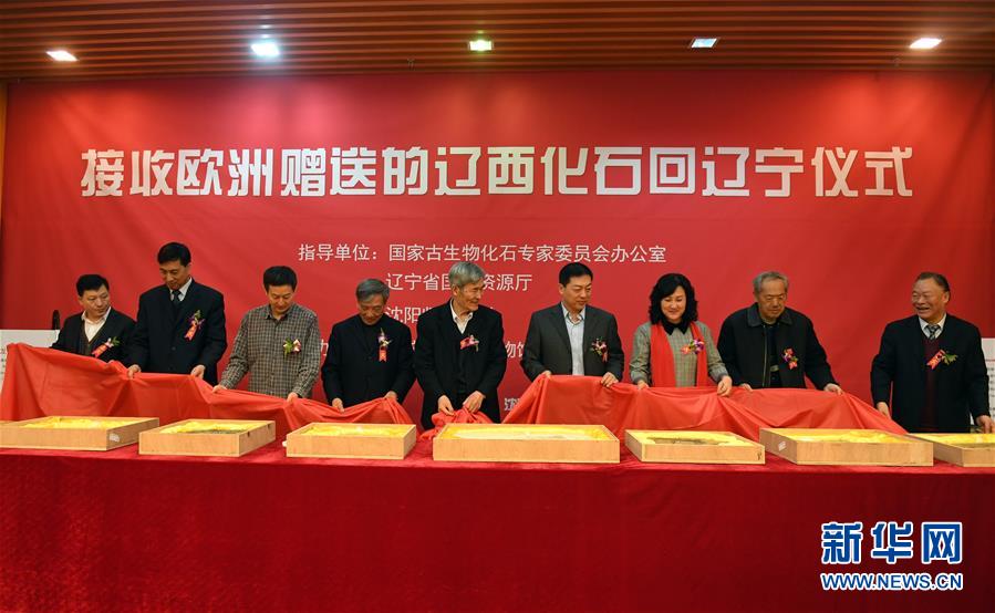 （图文互动）（1）8块流落欧洲的恐龙和鸟化石万里归乡