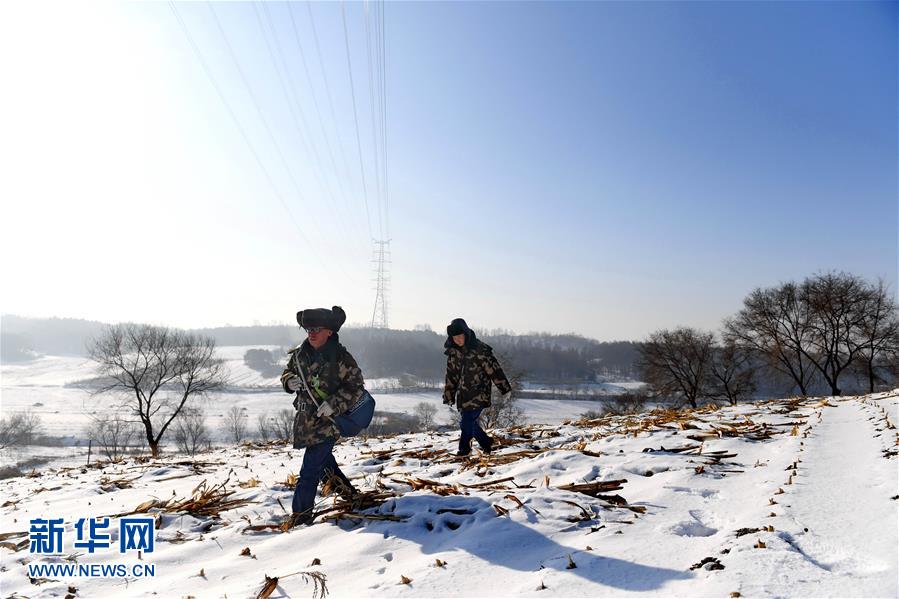 (社会)(1)供电巡线师徒档 极寒中守护光明与温暖