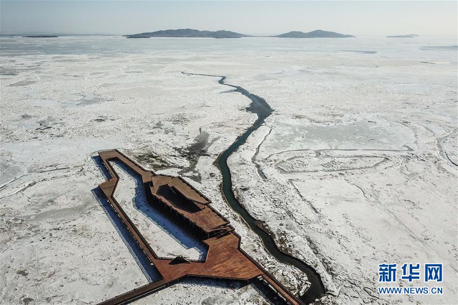 （环境）（1）直击辽东湾海冰