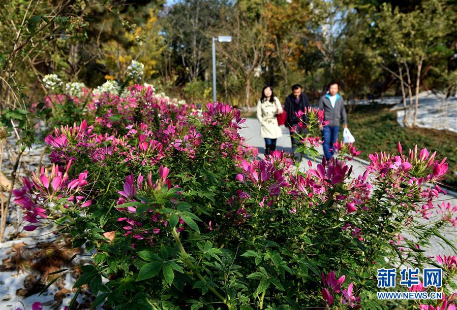 (图文互动)(1)蓝天白云讲述北京新时代新故事——北京站上新时代发展新起点