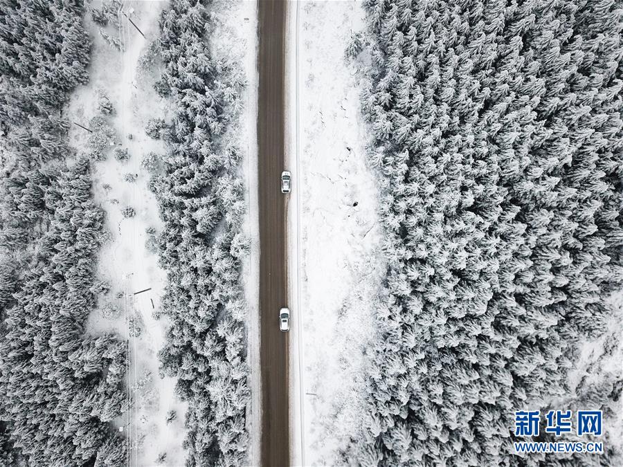 （新春走基层）（2）贵州&ldquo;天路&rdquo;上的守护