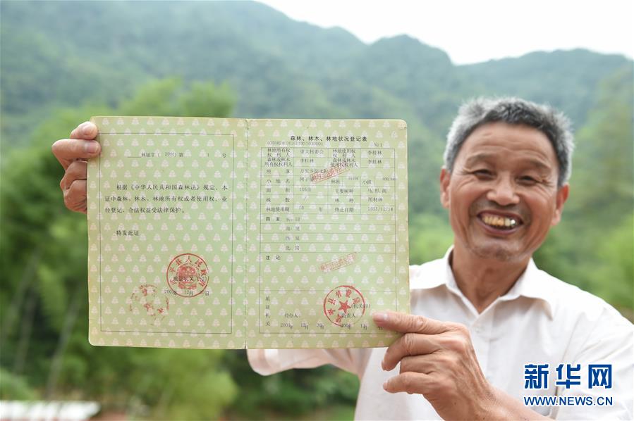 （新华全媒头条&middot;中央一号文件&middot;图文互动）（8）乡村振兴战略谋划中国农村巨变蓝图 