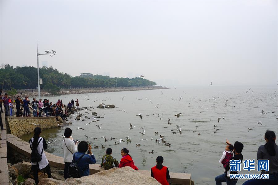 （图文互动）（2）创新催开文明花&mdash;&mdash;深圳生态文明建设走笔