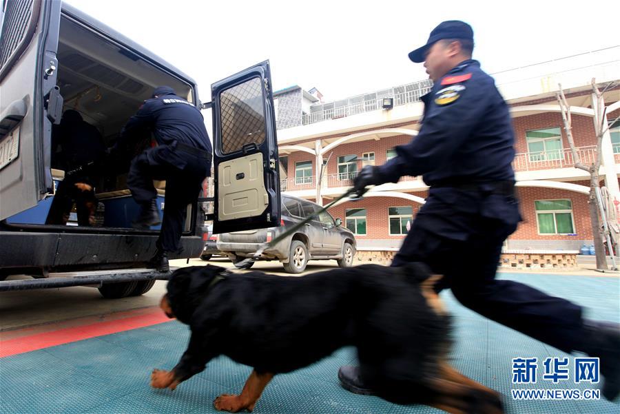 #（社会）（4）陕西咸阳：警犬训练保平安