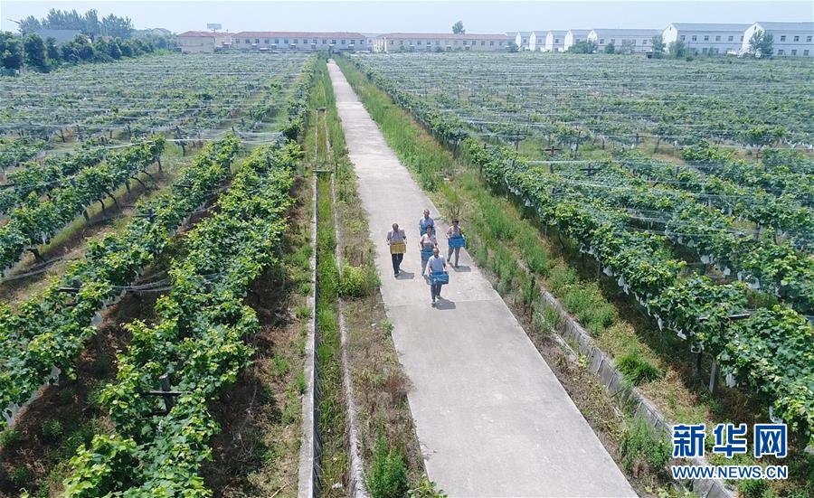 (新华全媒头条·纪念改革开放40年特稿·图文互动)(5)向着新航程扬帆奋进!——从小岗精神看中国改革开放40年