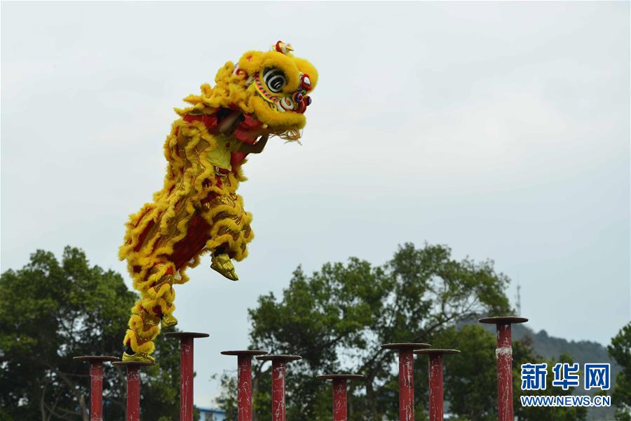 #（文化）（2）广西贺州举行龙狮争霸赛