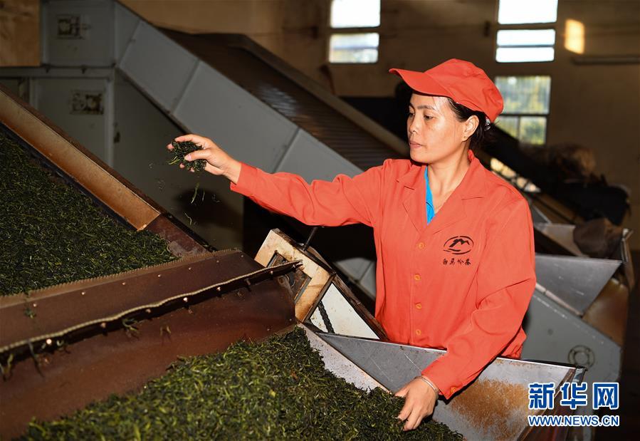 （奋进新时代&middot;迎接两会）（2）开放发展&mdash;&mdash;推动形成全面开放新格局