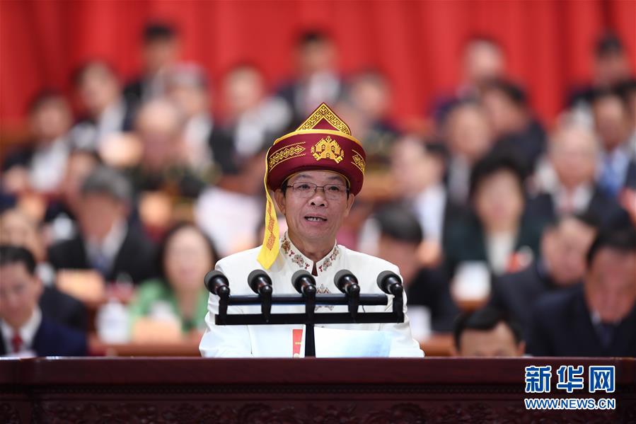 (两会)(9)全国政协十三届一次会议第二次全体会议大会发言