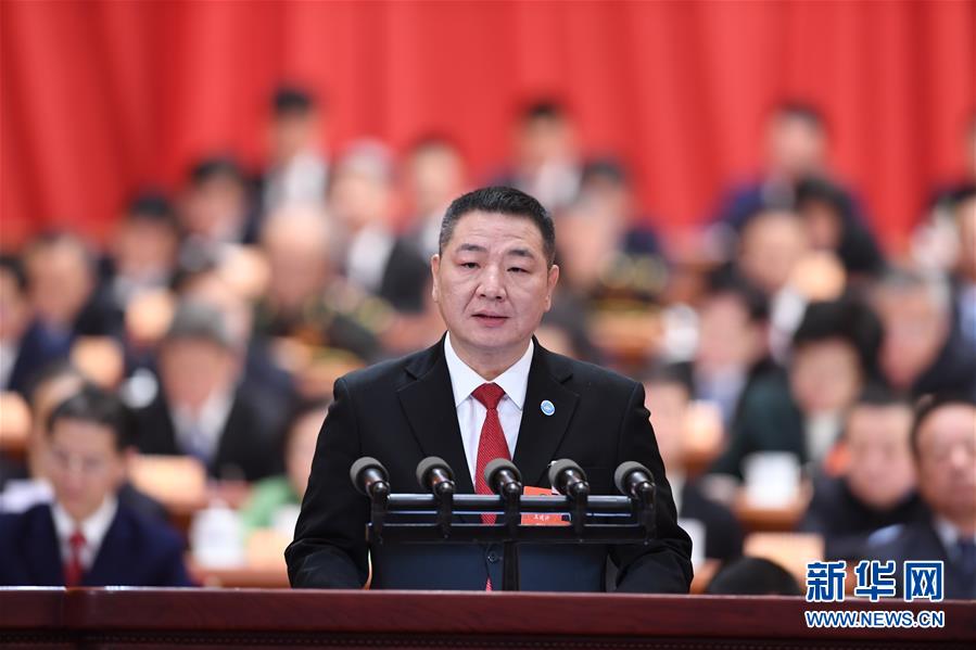 (两会)(10)全国政协十三届一次会议第二次全体会议大会发言