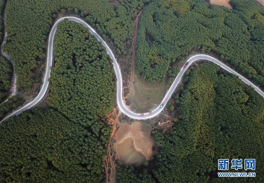 （图文互动）（4）贵州沙子坡林场：三代护林员守护一片“林海”