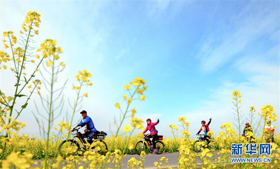 （春季美丽生态）（3）四川：以&ldquo;花&rdquo;为媒 实现乡村振兴
