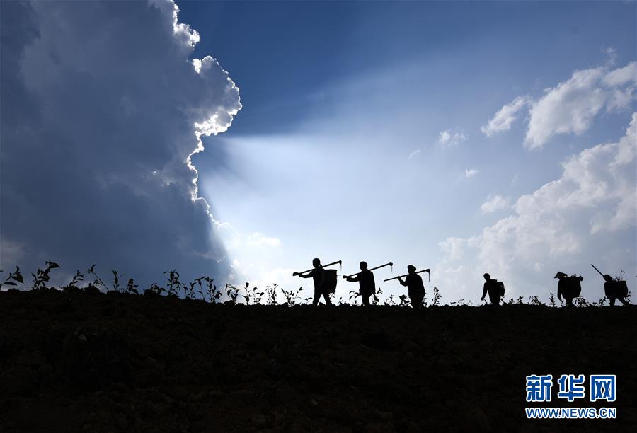 （镜观中国&middot;新华网）（1）新华社国内照片一周精选