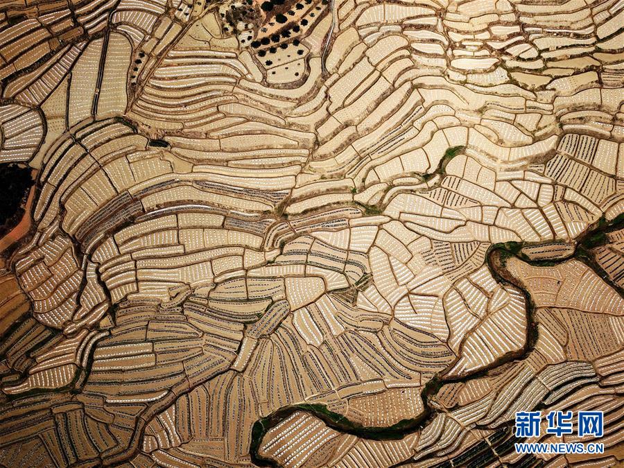 （镜观中国&middot;新华网）（3）新华社国内照片一周精选