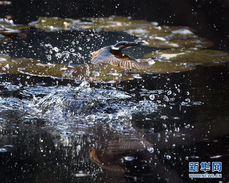 （镜观中国&middot;新华网）（4）新华社国内照片一周精选