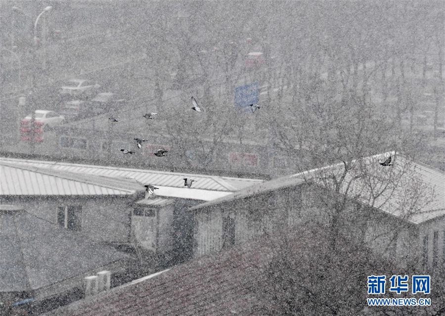 （環境）（8）北京迎來春雪