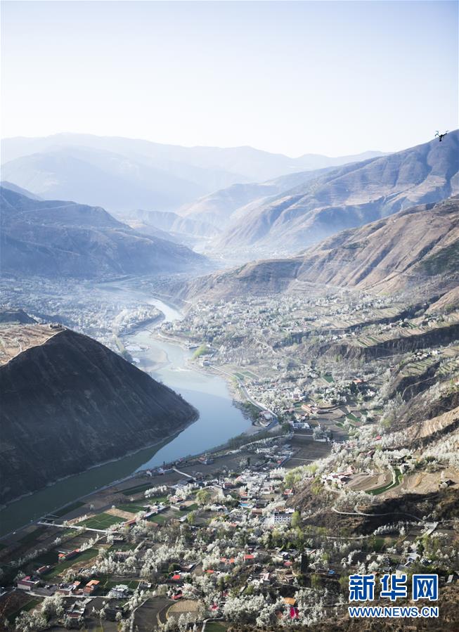 （春季美丽生态）（8）四川金川：梨花铺就乡村振兴路